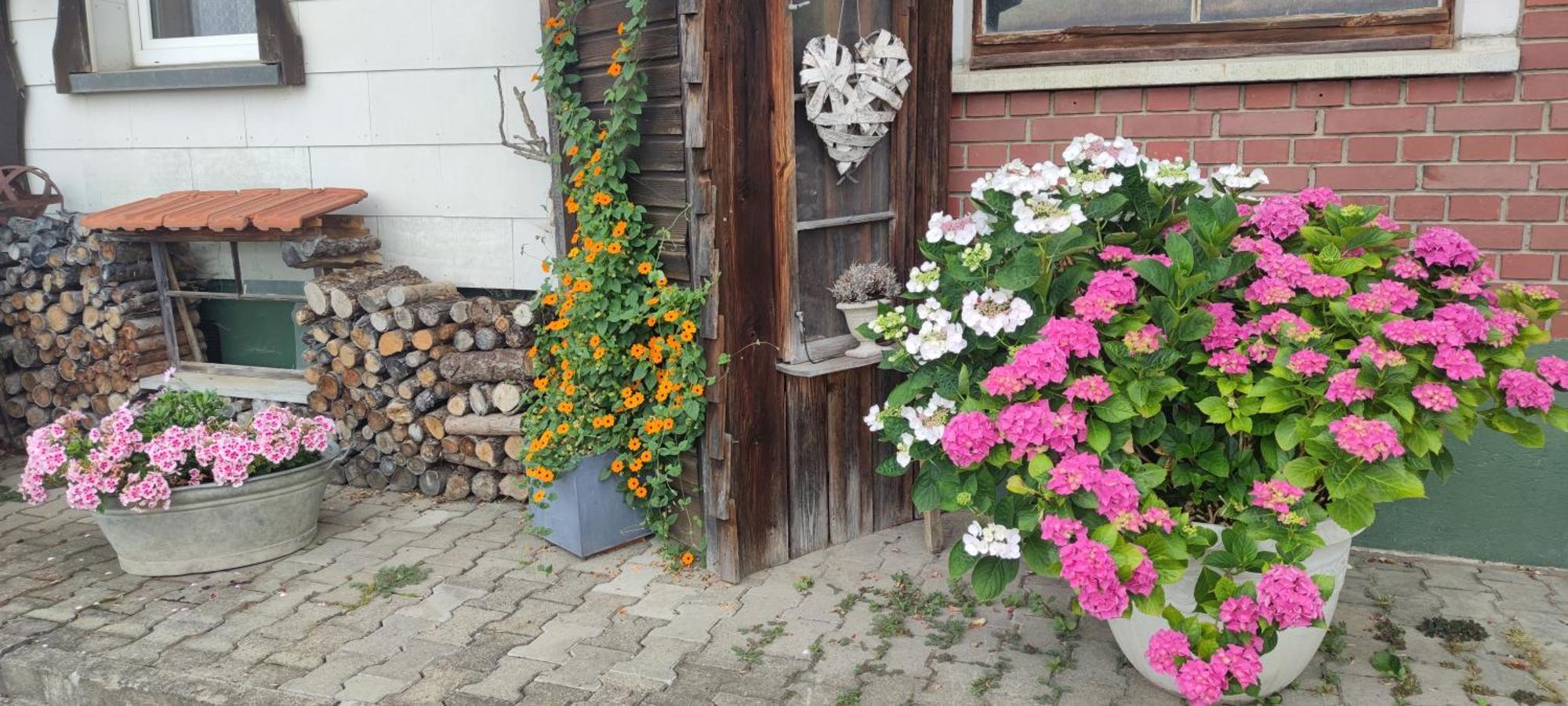 Gaestehaus Fechtig Hergensweiler Екстер'єр фото